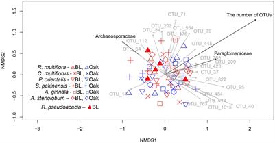 Arbuscular Mycorrhizal Community in Roots and Nitrogen Uptake Patterns of Understory Trees Beneath Ectomycorrhizal and Non-ectomycorrhizal Overstory Trees